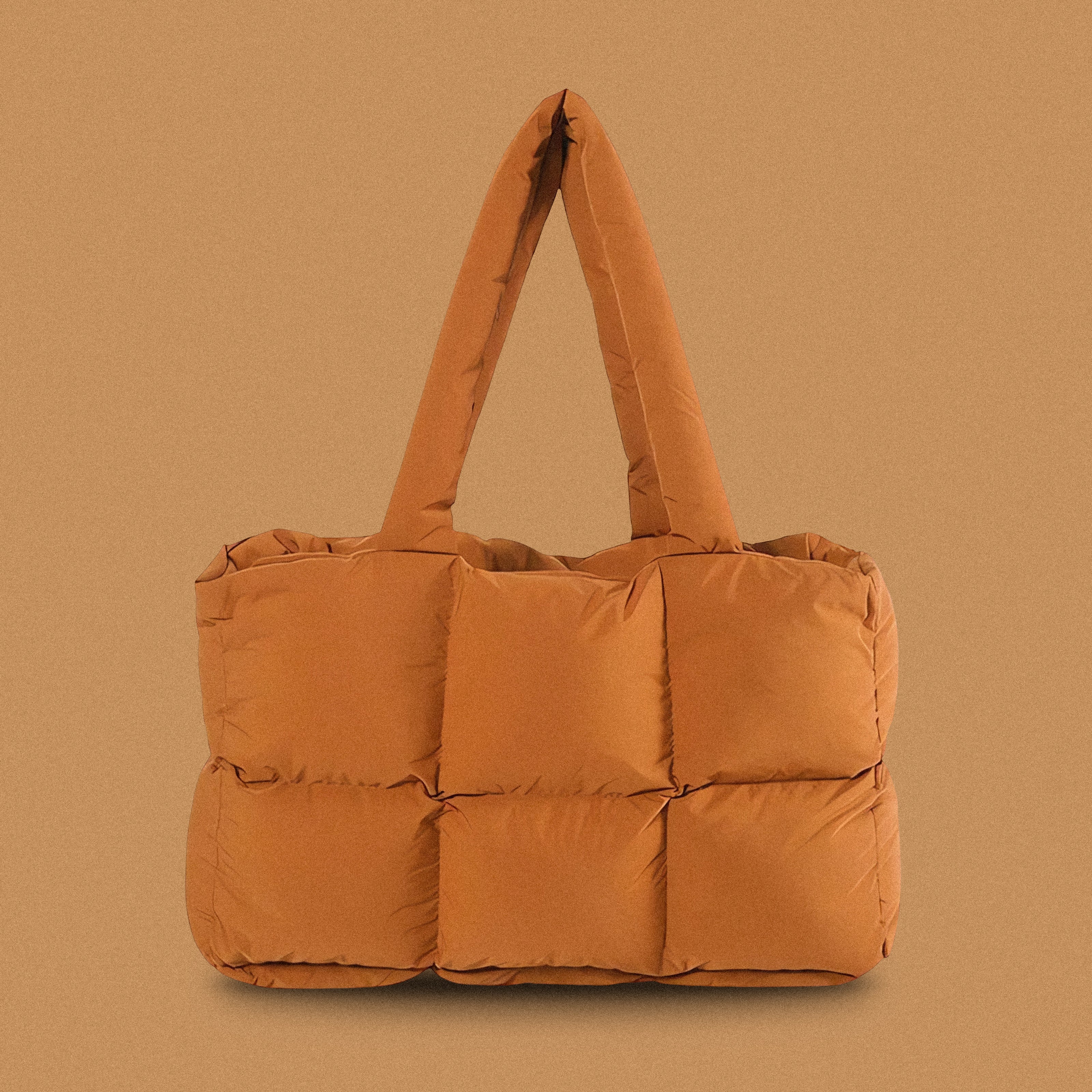 PLSH brown women's designer puffer handbag on a brown background